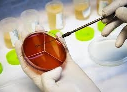 میکروب شناسی